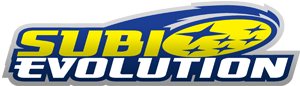 Subi Evolution logo