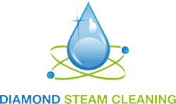 Diamond Steam Cleaning logo