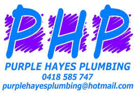 Purple Hayes Plumbing logo