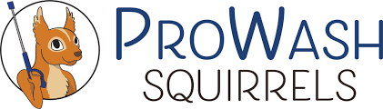 ProWash Squirrels logo