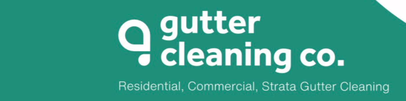 Gutter Cleaning Co logo