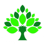 Zanda Wealth Mortgage Brokers logo