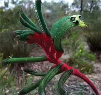 Andrew's Garden Renovation Services logo