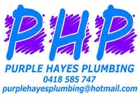 Purple Hayes Plumbing logo