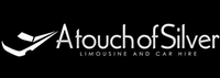 A Touch of Silver logo