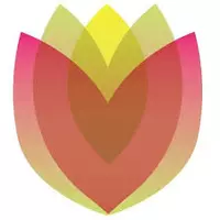 Next Level Health logo