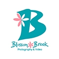 Blossom Brook Studio logo
