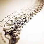 Synergy Spine and Health logo