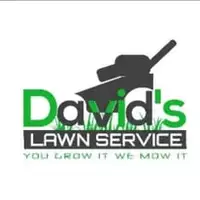 david's lawn service logo
