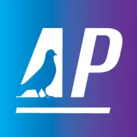 Account Pigeon logo
