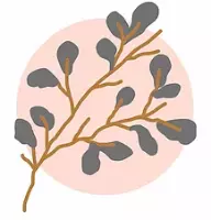 Christine Castle Marriage Celebrant logo