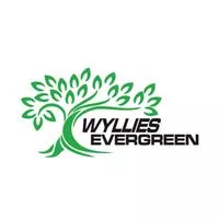 Wyllies Evergreen logo