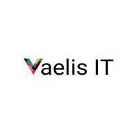 Vaelis IT logo