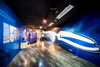 My Floor-Flooring Solutions logo