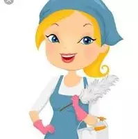 Danneez Cleaning logo