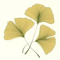 Wallan Wallan Natural Therapies logo