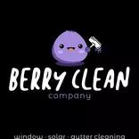 Berry Clean Company logo